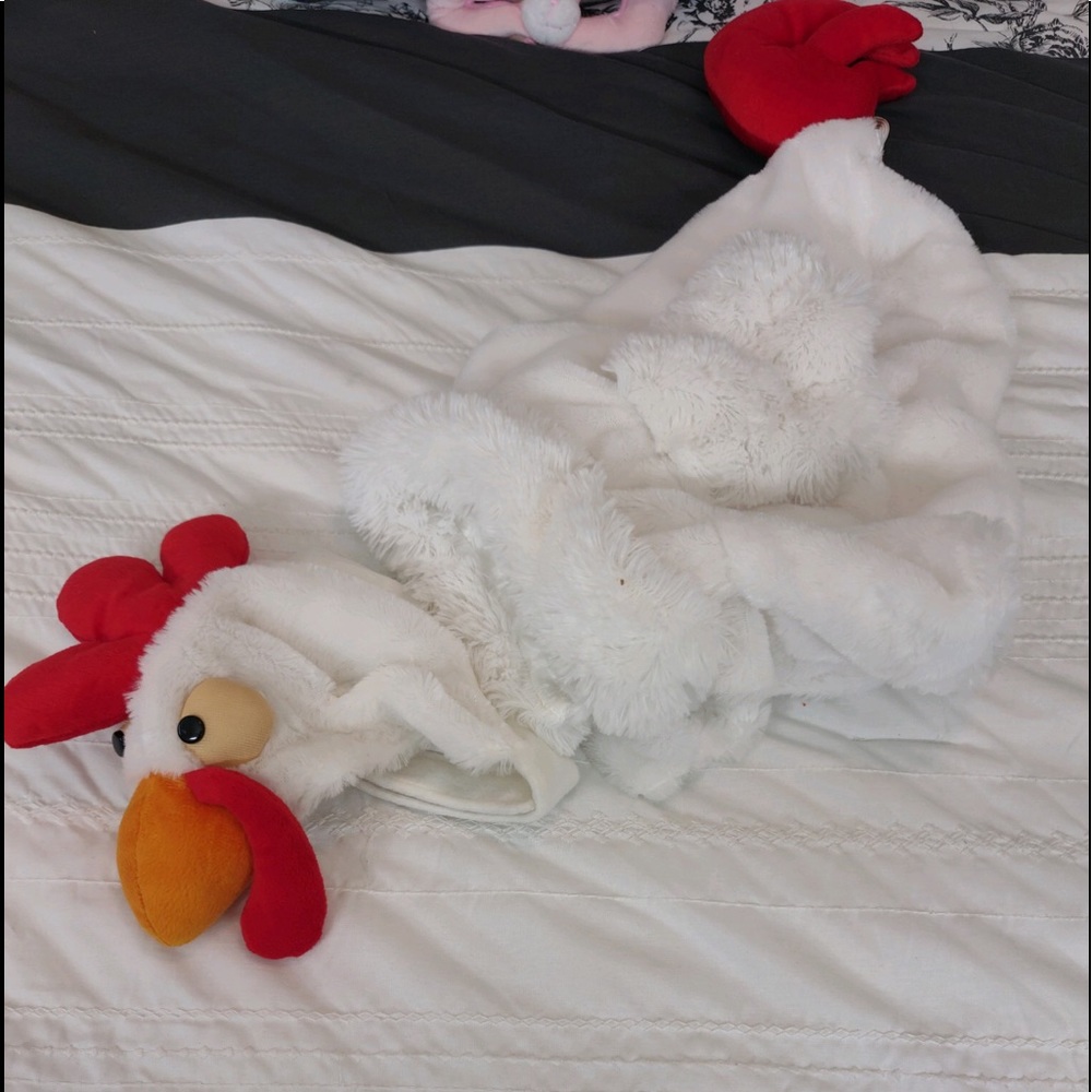 ROOSTER Costume for a small to medium  dog